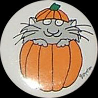 Cat in Pumpkin