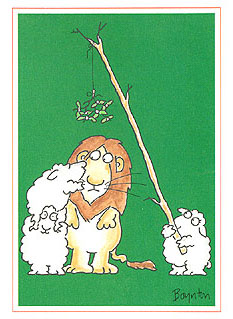 Card13
