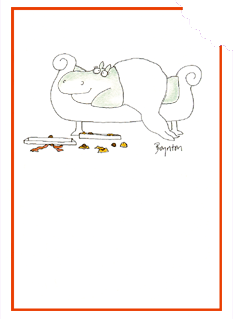 Card05