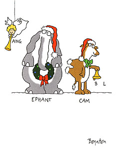 Card01