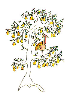 Card05