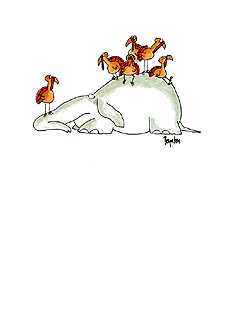 Card03