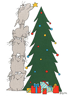 Card04