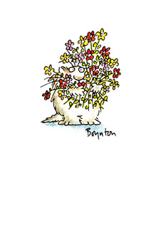 Card01