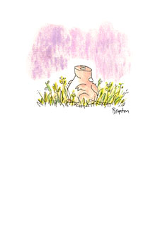 Card05