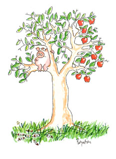 Card06