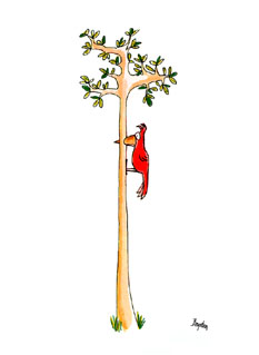 Card04