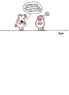 Card16