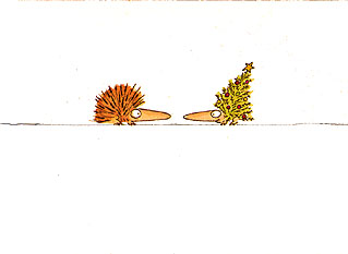 Card01