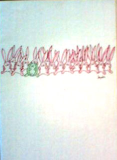 Card02