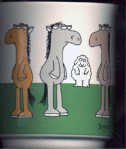 Behind the Nag, Nag, Nag