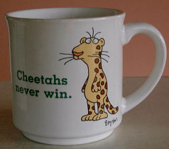 Cheetahs Never Win