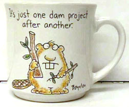 One Dam Project